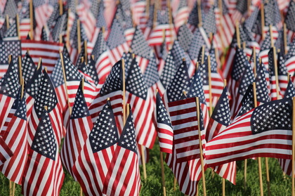 Picture of American Flags showing shallow depth of field
