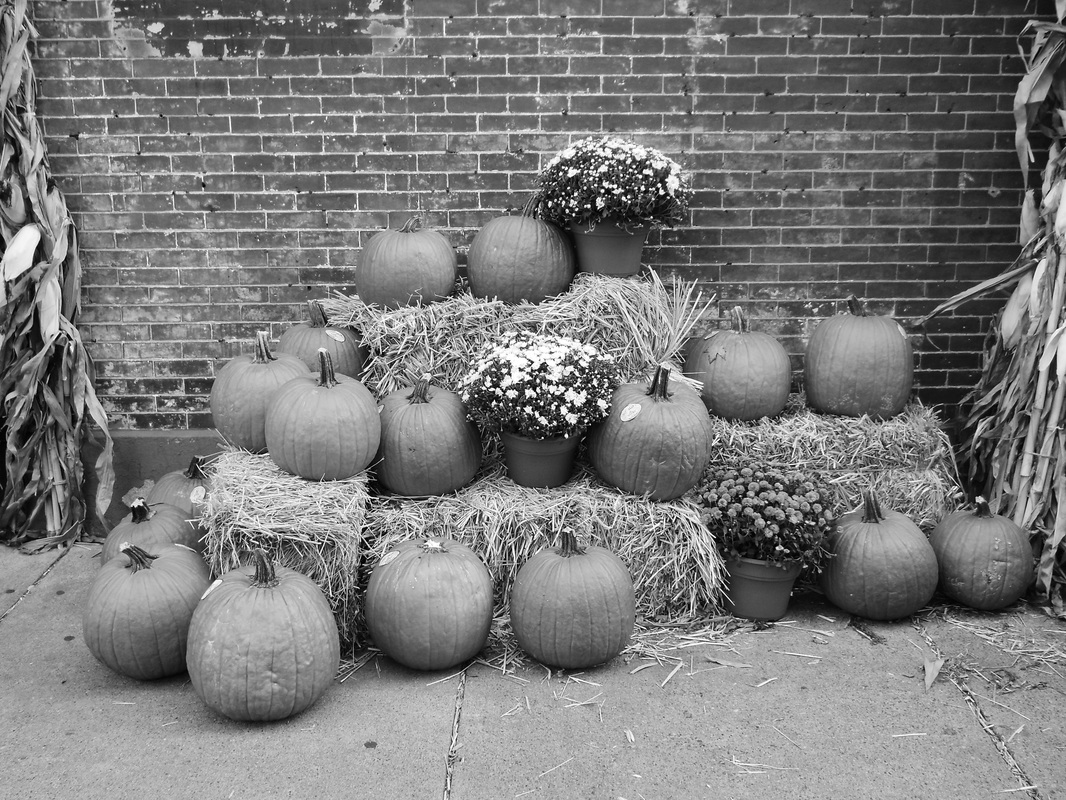 Low contrast black and white image of pumpkins
