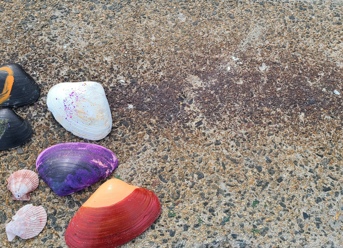 Negative space picture of seashells on concrete