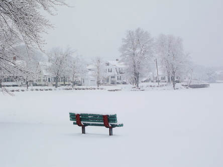 Negative space picture of bench in the snow