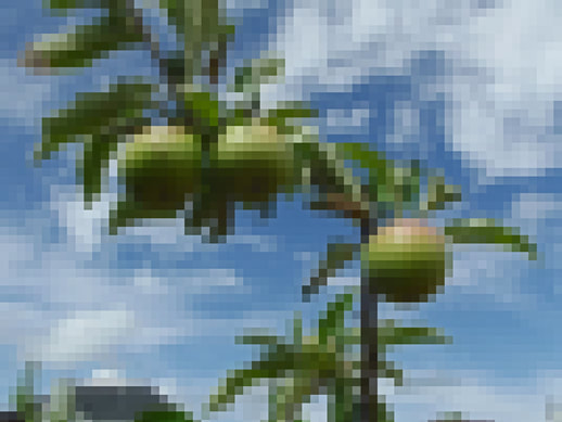 Pixelated image to show what magnified pixels would look like in a picture